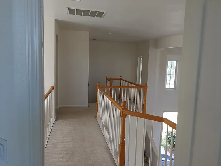 2447 Veneto Ln — Photo 15