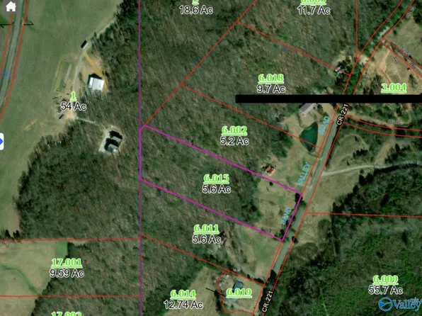 5.6 County Road 221, Collinsville, AL 35961