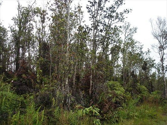 2nd image of Lot 73