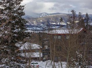 8028 Ryan Gulch Rd, Silverthorne, CO 80498