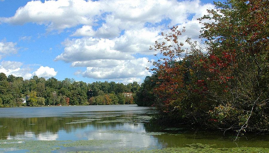 209 New Chalet Dr 131, Mohegan Lake, NY 10547 Zillow