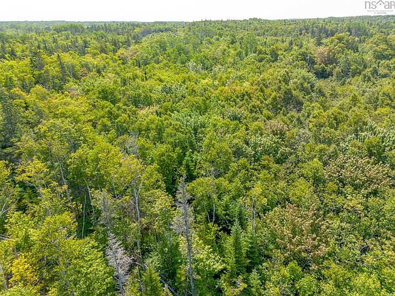 2nd image of LOT 19 Pelton Mountain Rd