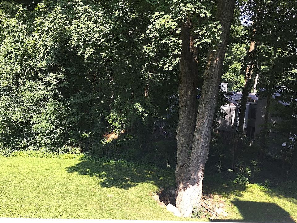 Private view from deck