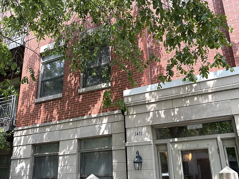 1431 S Halsted St #3A — Photo 1