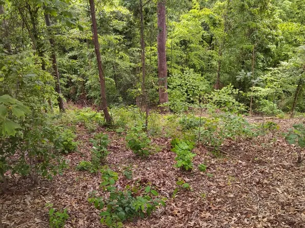 2019 Cluster Oak Way, Sevierville, TN 37876