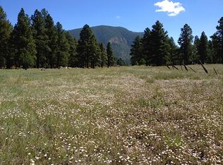 125 E Mount Elden Lookout Rd, Flagstaff, AZ 86001