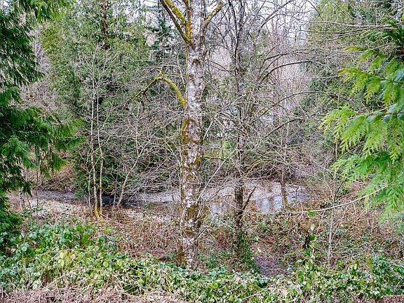 2nd image of 12041 256th St