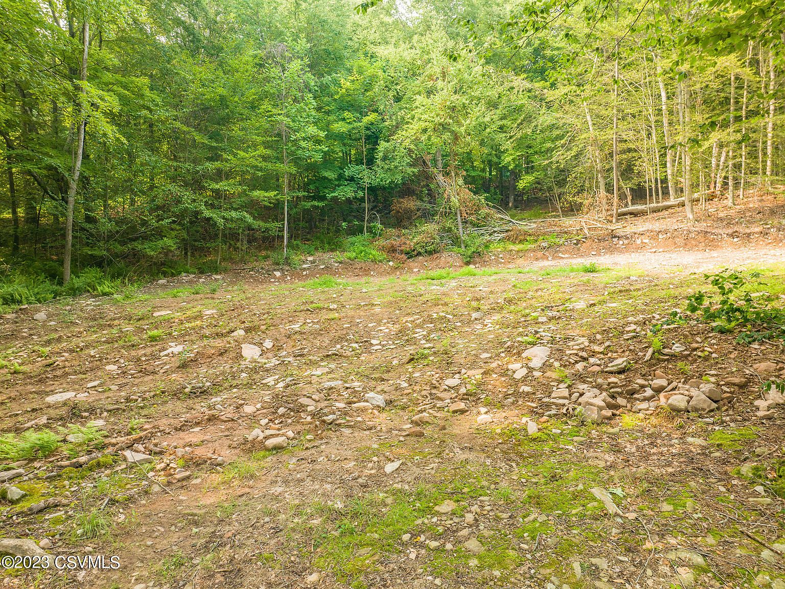 10-spring-ln-benton-pa-17814-zillow