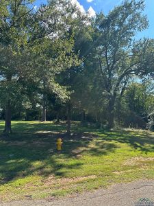 261 W Don Koble Ln, Longview, TX, 75605