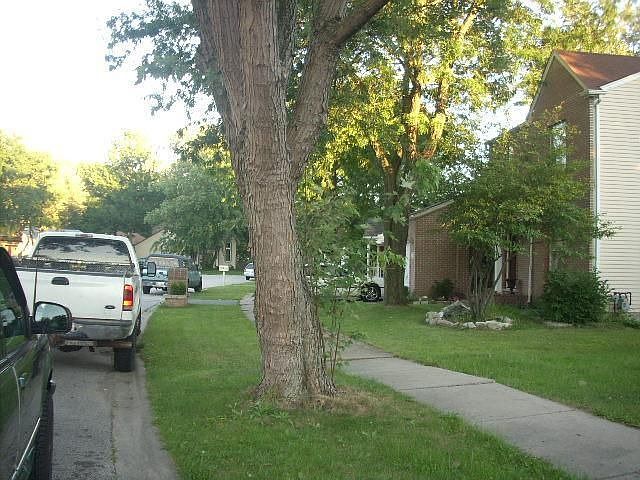 StreetView1