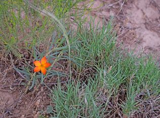 LOT 42 Rio Grande Blvd SW #S, Los Lunas, NM 87031