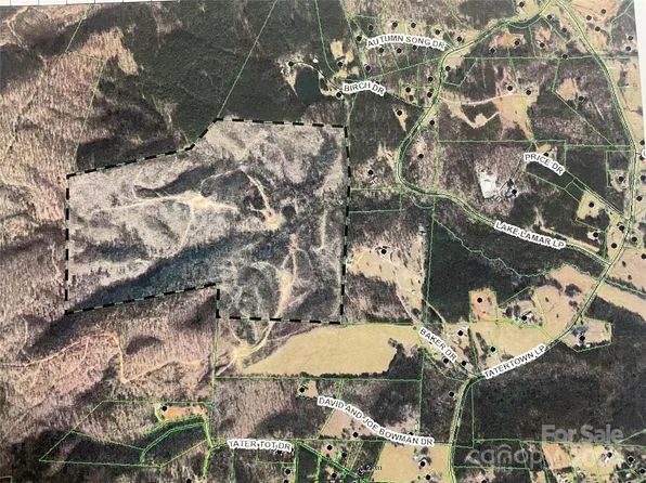 Tatertown Loop, Nebo, NC 28761