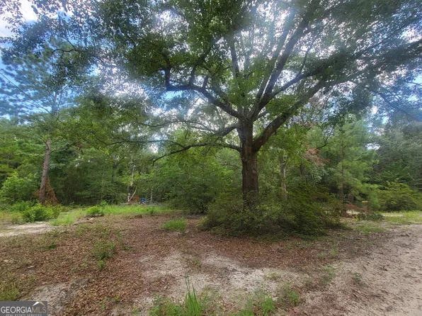 850 O'F Lanier Rd, Pembroke, GA 31321