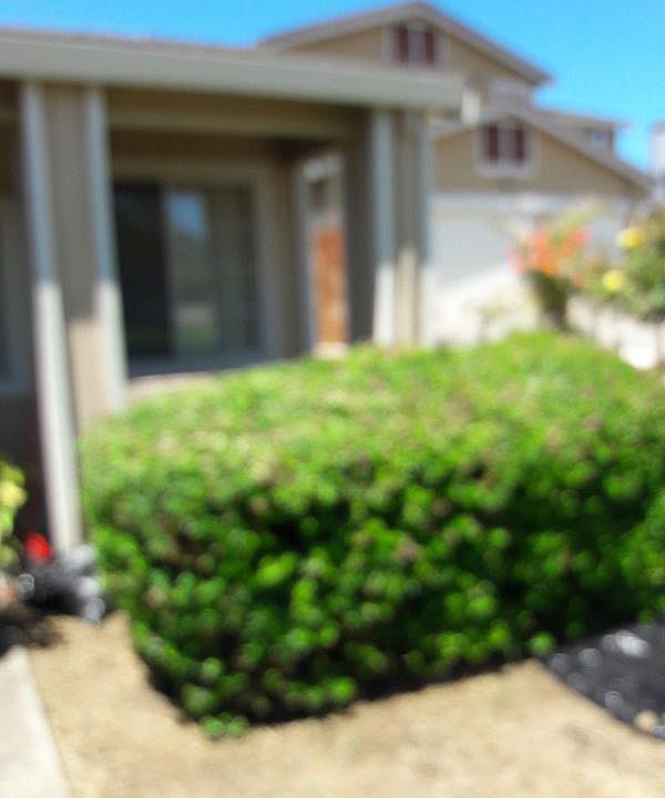 1st image of 120 Hawkesbury Way