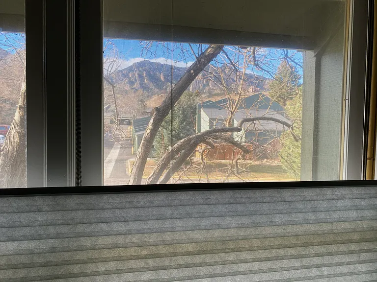 Peek outside the master bedroom window looking northwest. We face directly West.