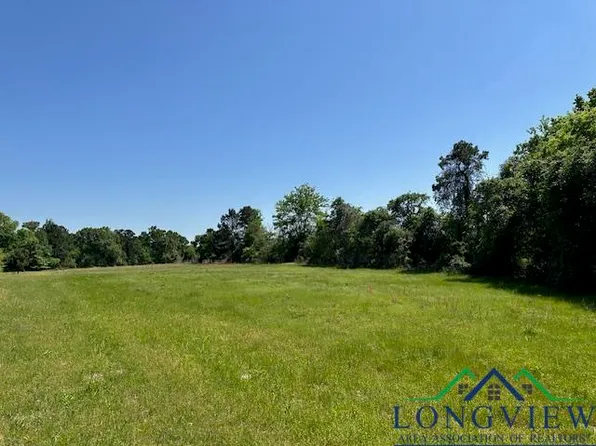 Tbd Fm 225, Laneville, TX 75667