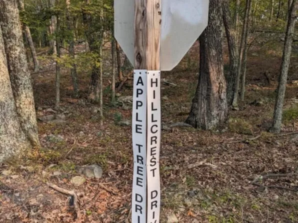 LOT 1 Apple Tree Dr, Dingmans Ferry, PA 18328