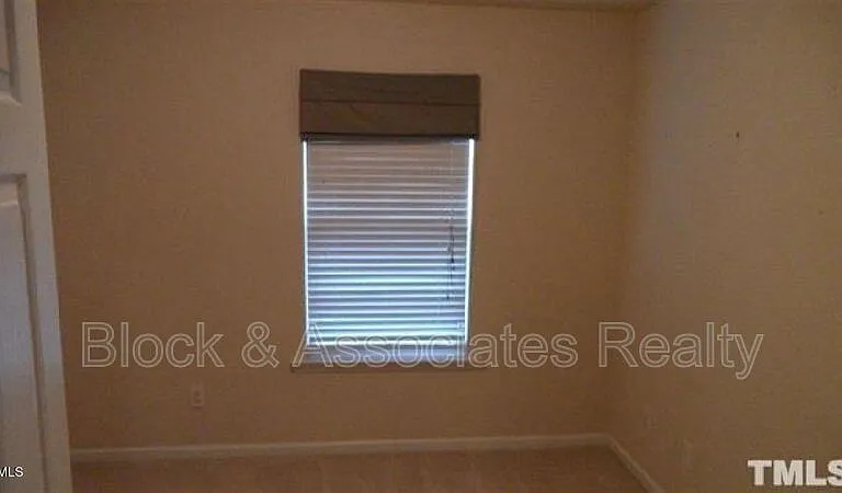 132 Linden Park Ln — Photo 11