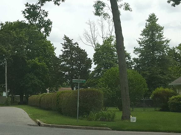 5th image of 879 Briarcliff Dr