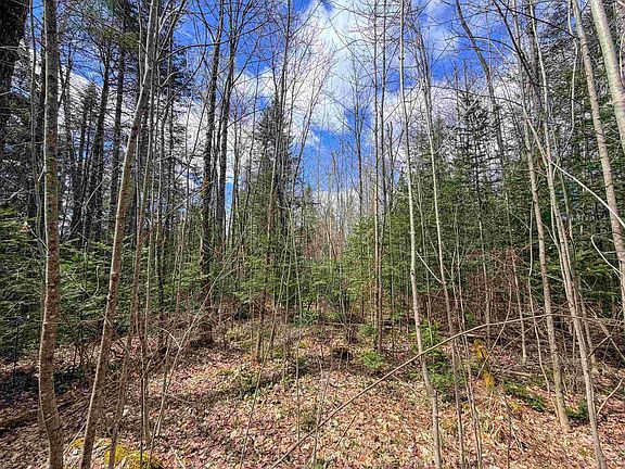 2nd image of Lot 4 Oregon Road