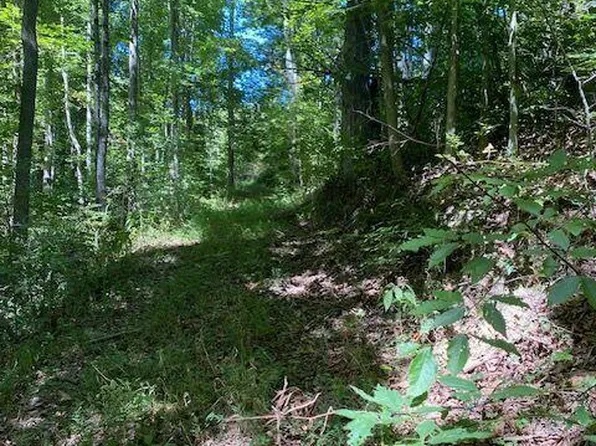 Hurricane Rd, Jonesville, VA 24263
