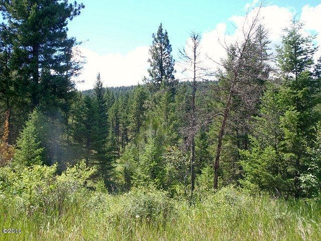 2nd image of Nhn Tobacco Rd