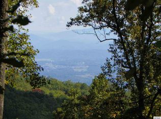 Bluff Mountain Rd, SEVIERVILLE, TN 37876