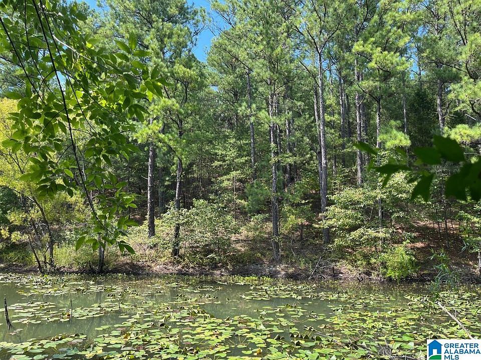2nd image of 4971 Mount Olive Rd