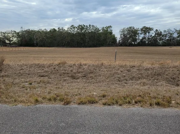 3829 NW 46th Court, Bell, FL 32619