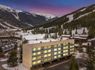 88 Guller Rd #206, Frisco, CO 80443