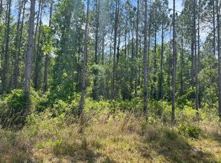 SE Ebenezer Rd LOT 5, Lake City, FL 32025