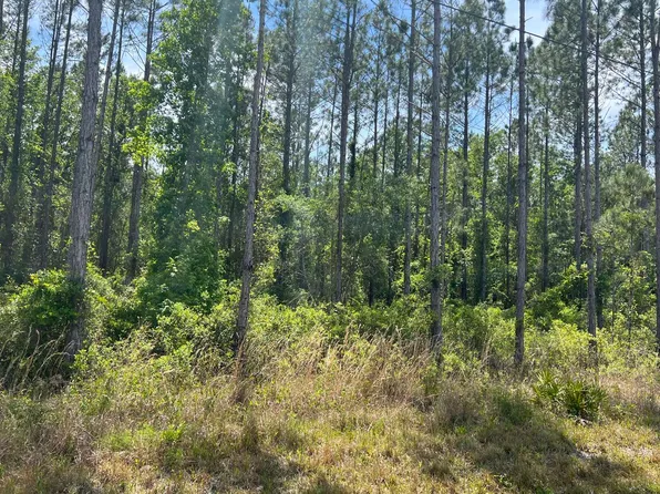 SE Ebenezer Rd Lot 5, Lake City, FL 32025