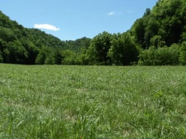 5155 Brimestone Creek Rd, Moss, TN 38575