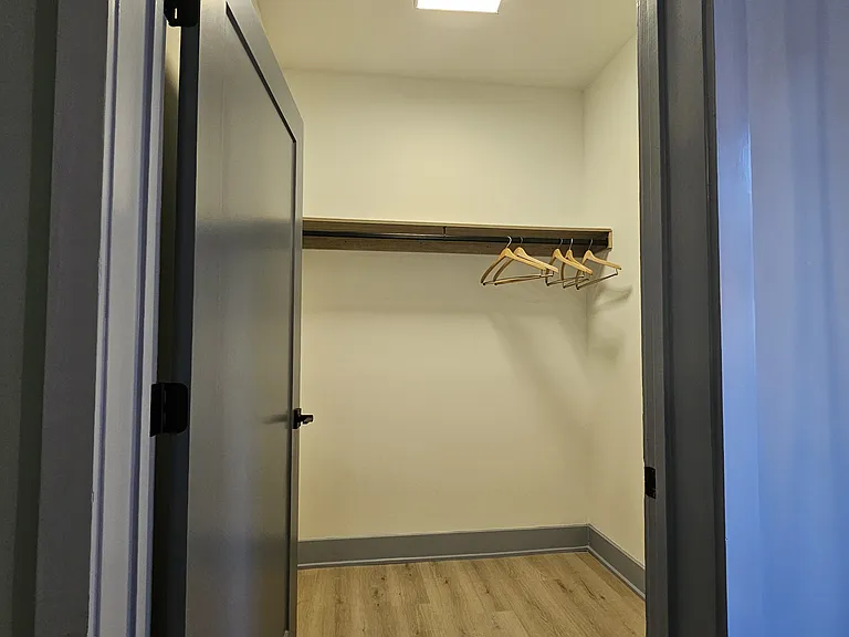 Main Floor bedroom walk-in closet