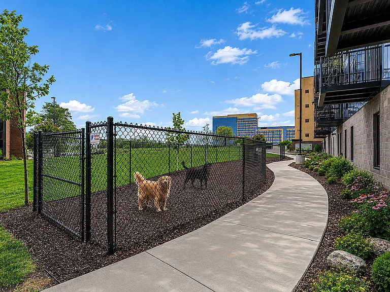 Dog Park