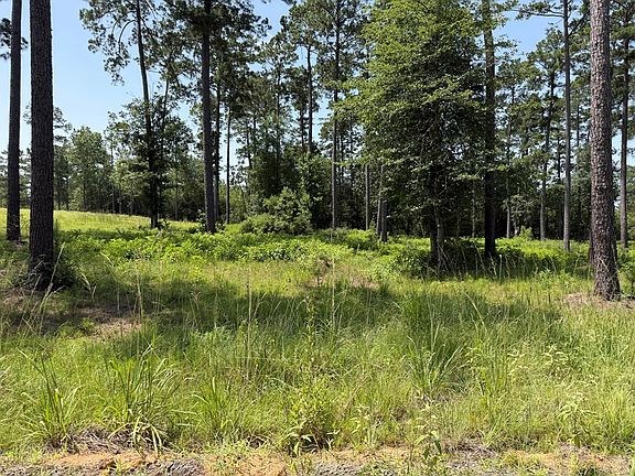 4th image of LOT 2 Private Road 6028