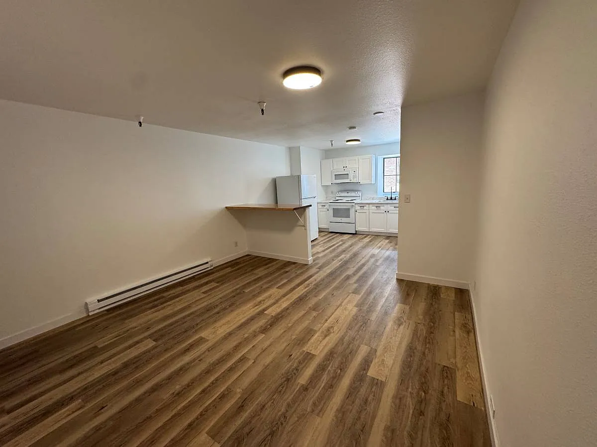 1 bed, 465 sqft, $1,175 — Photo 3