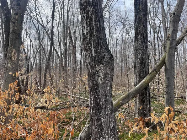 Peninsula Acres Rd, Manistique, MI 49854