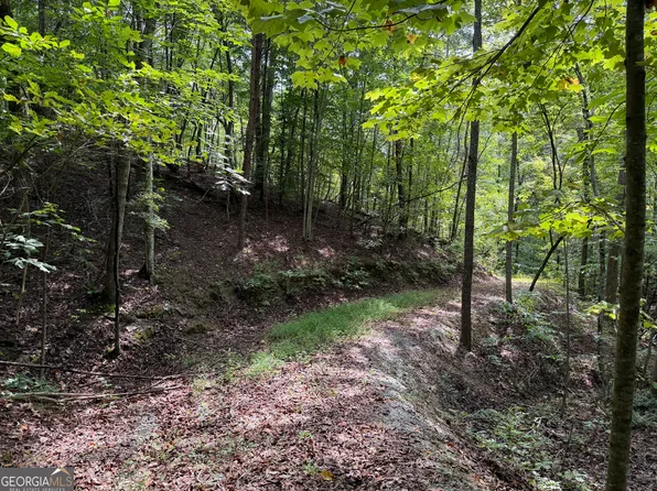 0 Fuller Mountain Rd, Fairmount, GA 30139