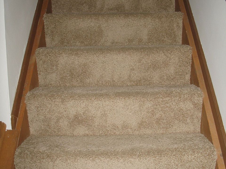 Brand new neutral color carpet throughout the upstairs
