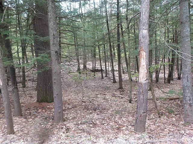 2nd image of 728 Stage Rd