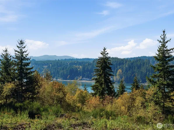 3 E Lone Fir Drive, Shelton, WA 98584