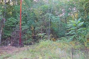 1st image of 0 Gray Fox Ct Lot 28