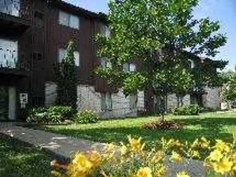 Pine Aire Apartments — Photo 17