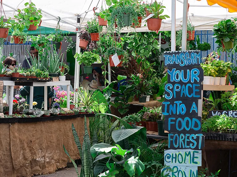 Culver City Farmers Market every Tuesday and Mar Vista Farmers Market every Sunday