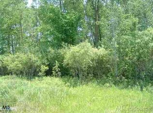 Norman Rd, Yale, MI 48097