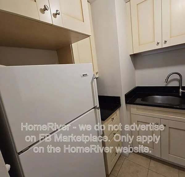 21 W Goethe St #4E — Photo 9