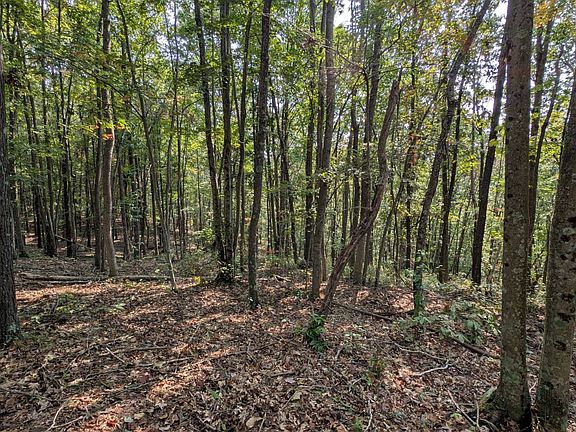 2nd image of 0 McCune Cemetery Rd