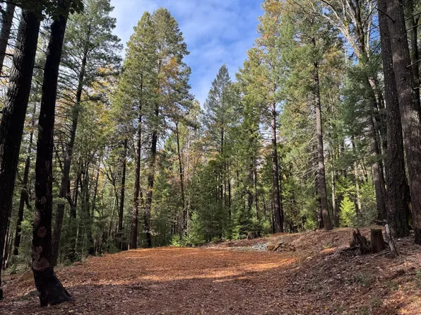 13646 Quaker Hill Cross Rd, Nevada City, CA 95959