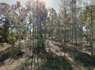 305 Rosanna Ave, Lehigh Acres, FL 33972